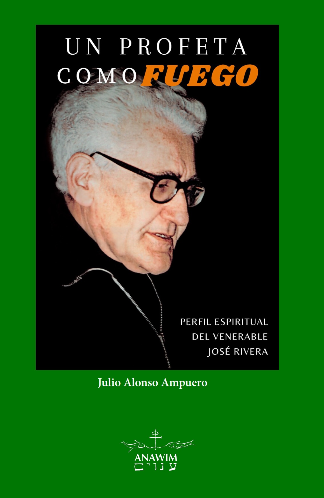 Un profeta como fuego. Perfil espiritual del venerable José Rivera (Julio Alonso Ampuero)